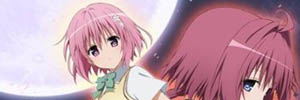 ToLOVEるダークネス第8巻 アニメDVD付